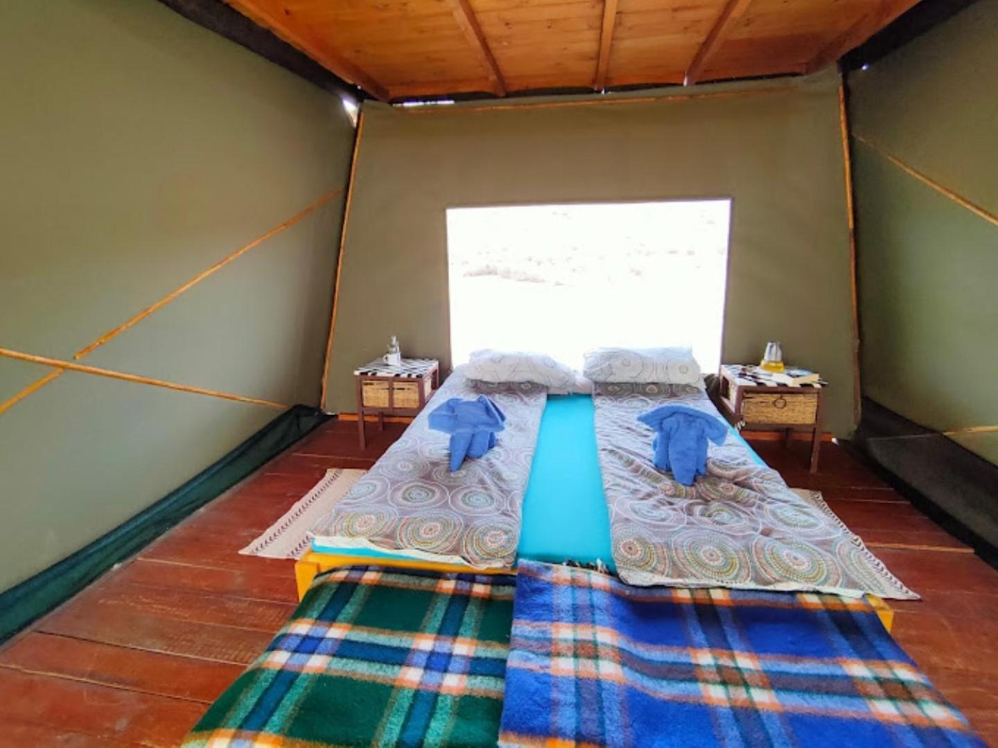 Camp Gecko - Private Nature Reserve; Tented Camp And Campsite Солитаре Экстерьер фото